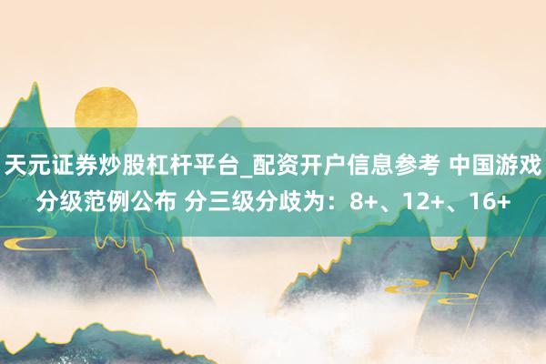 天元证券炒股杠杆平台_配资开户信息参考 中国游戏分级范例公布 分三级分歧为：8+、12+、16+