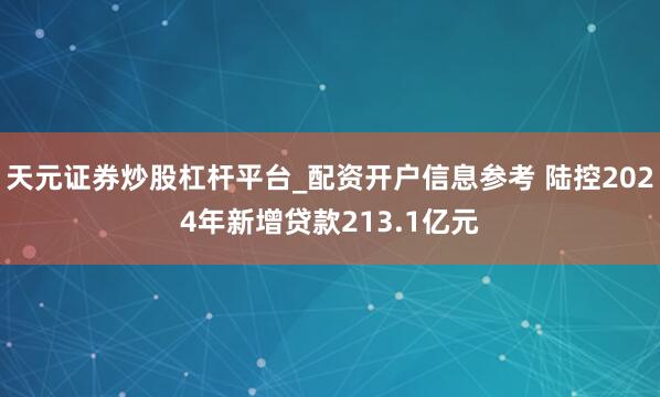 天元证券炒股杠杆平台_配资开户信息参考 陆控2024年新增贷款213.1亿元