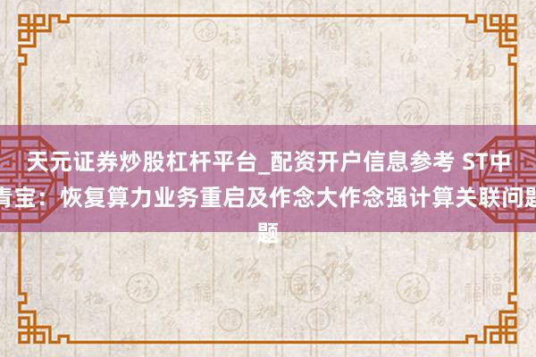 天元证券炒股杠杆平台_配资开户信息参考 ST中青宝：恢复算力业务重启及作念大作念强计算关联问题
