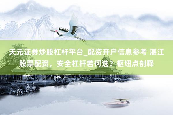 天元证券炒股杠杆平台_配资开户信息参考 湛江股票配资，安全杠杆若何选？枢纽点剖释