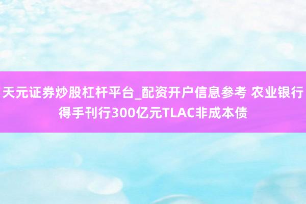 天元证券炒股杠杆平台_配资开户信息参考 农业银行得手刊行300亿元TLAC非成本债
