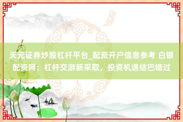 天元证券炒股杠杆平台_配资开户信息参考 白银配资网：杠杆交游新采取，投资机遇结巴错过