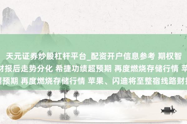 天元证券炒股杠杆平台_配资开户信息参考 期权智投播报 | 科技四巨头财报后走势分化 希捷功绩超预期 再度燃烧存储行情 苹果、闪迪将至整宿线路财报