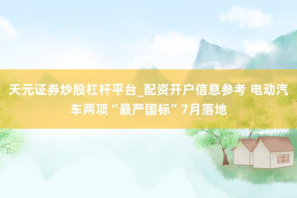 天元证券炒股杠杆平台_配资开户信息参考 电动汽车两项“最严国标”7月落地