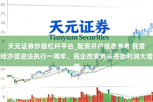 天元证券炒股杠杆平台_配资开户信息参考 民营经济促进法执行一周年，民企改变势头苍劲利润大增