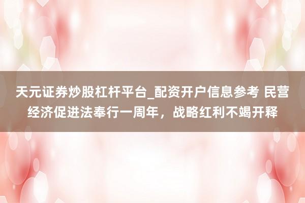 天元证券炒股杠杆平台_配资开户信息参考 民营经济促进法奉行一周年，战略红利不竭开释