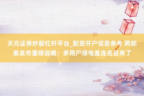 天元证券炒股杠杆平台_配资开户信息参考 两部委发布重磅战略：多用户绿电直连名目来了