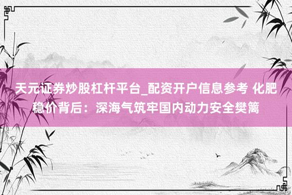 天元证券炒股杠杆平台_配资开户信息参考 化肥稳价背后：深海气筑牢国内动力安全樊篱