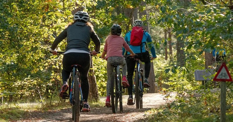 How to choose a family activity in under five minutes