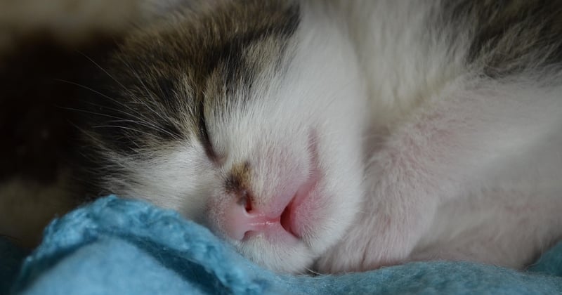 How Sleep Deprivation Affects Parenting and What You Can Do